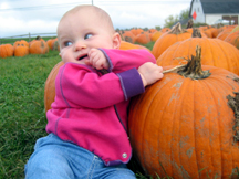 pumpkin baby